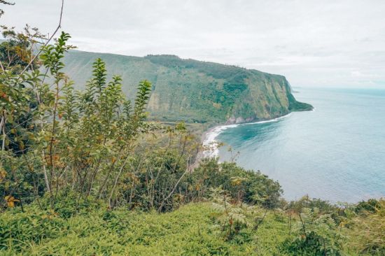 Picture of ETH - 2023 ALAKA'I Workshop - Hilo Conference - General Public