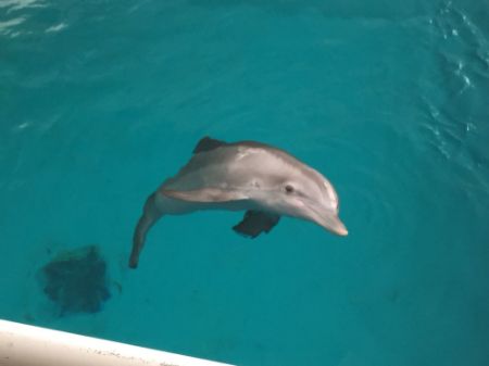 Picture for category Environmental Health and Safety